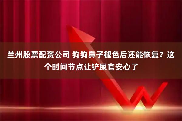 兰州股票配资公司 狗狗鼻子褪色后还能恢复？这个时间节点让铲屎官安心了