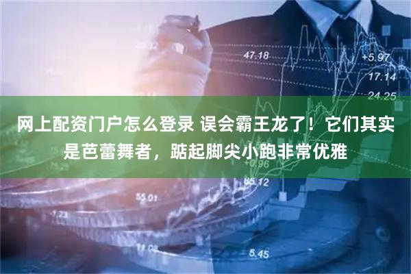 网上配资门户怎么登录 误会霸王龙了！它们其实是芭蕾舞者，踮起脚尖小跑非常优雅