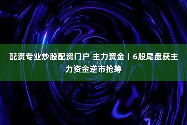 配资专业炒股配资门户 主力资金丨6股尾盘获主力资金逆市抢筹